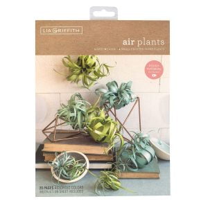 Creativity Street Lia Griffith Paper Stack 8.5X11 24//Pkg-Peony