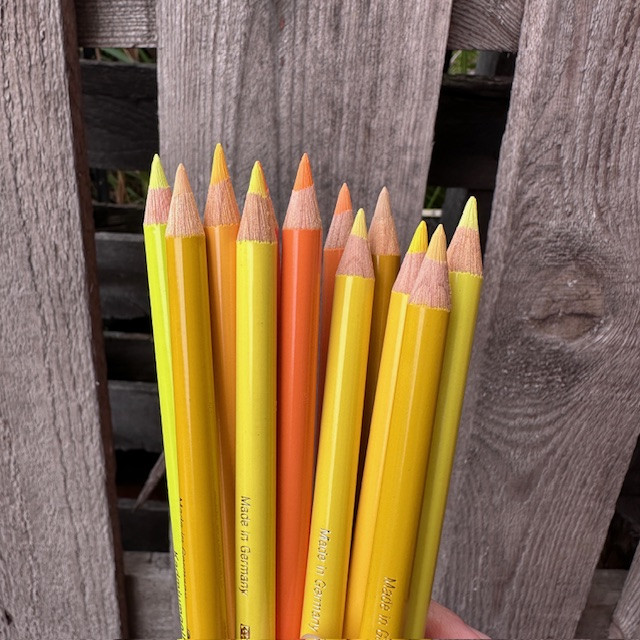 Faber-Castell Polychromos Colour Pencil ((Single Pencil) – Yellows