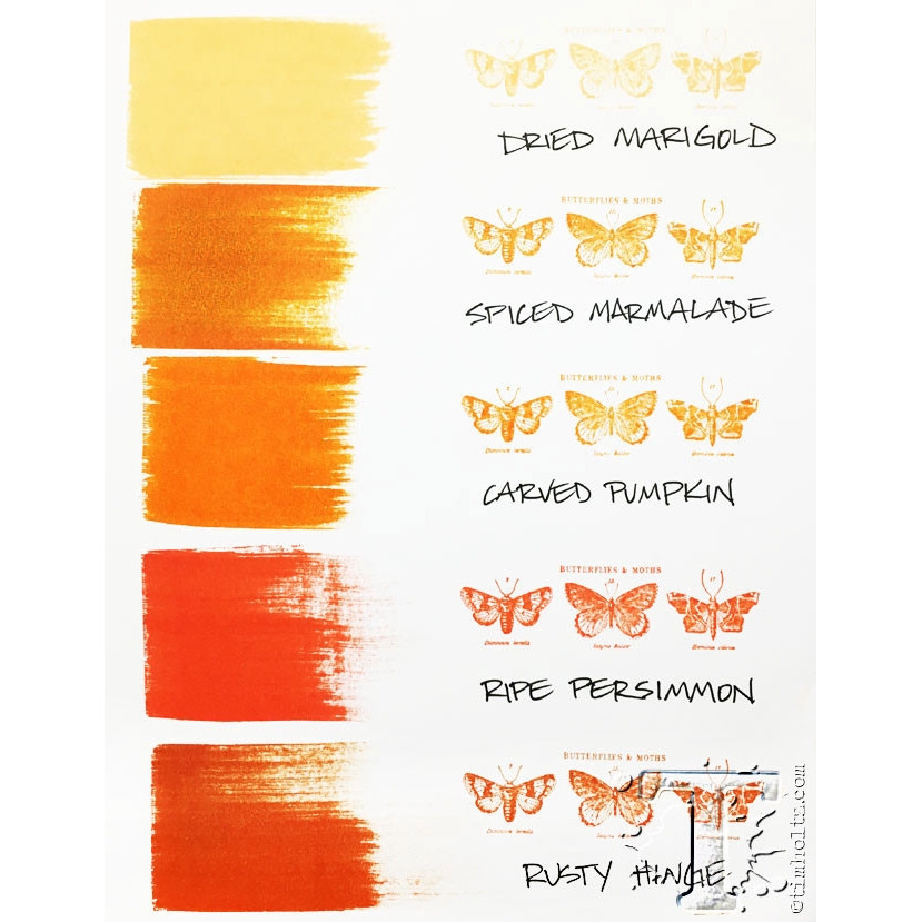 Ranger Ink Tim Holtz Distress Ink Pads, Full Size - Group 3 (Orange) - Image 4