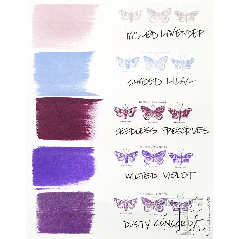 Ranger Ink Tim Holtz Distress Ink Pads, Full Size - Group 8 (Purples) - Image 4