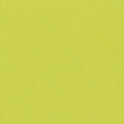 Bazzill Basics 12x12 Cardstock - Granny Smith