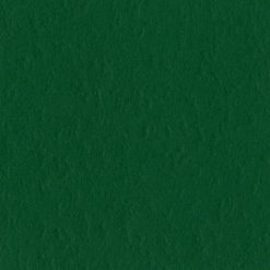 Bazzill Basics 12x12 Cardstock - Classic Green