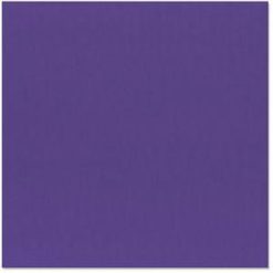 Bazzill Basics 12 x 12 Cardstock - Grasscloth Texture - Concord Grape