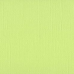 Bazzill Basics 12x12 Cardstock - Limeade