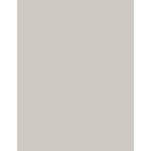 Bazzill Basics Smoothies 12x12 Cardstock - Twill