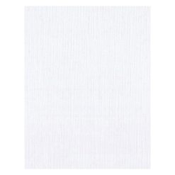 Bazzill Basics Classic Lace - 8.5 x 11