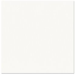 Bazzill 8.3x11.7 - Bazzill Basics White