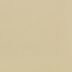 American Crafts Textured Cardstock - OATMEAL