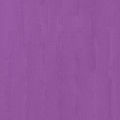 American Crafts Textured Cardstock - GRAPE