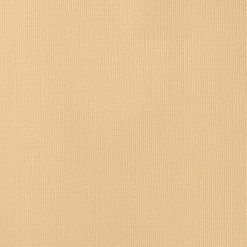 American Crafts Textured Cardstock - LATTE