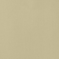 American Crafts Textured Cardstock - SAND