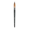 Princeton Aqua Elite Synthetic Kolinsky Quill 6 Brush