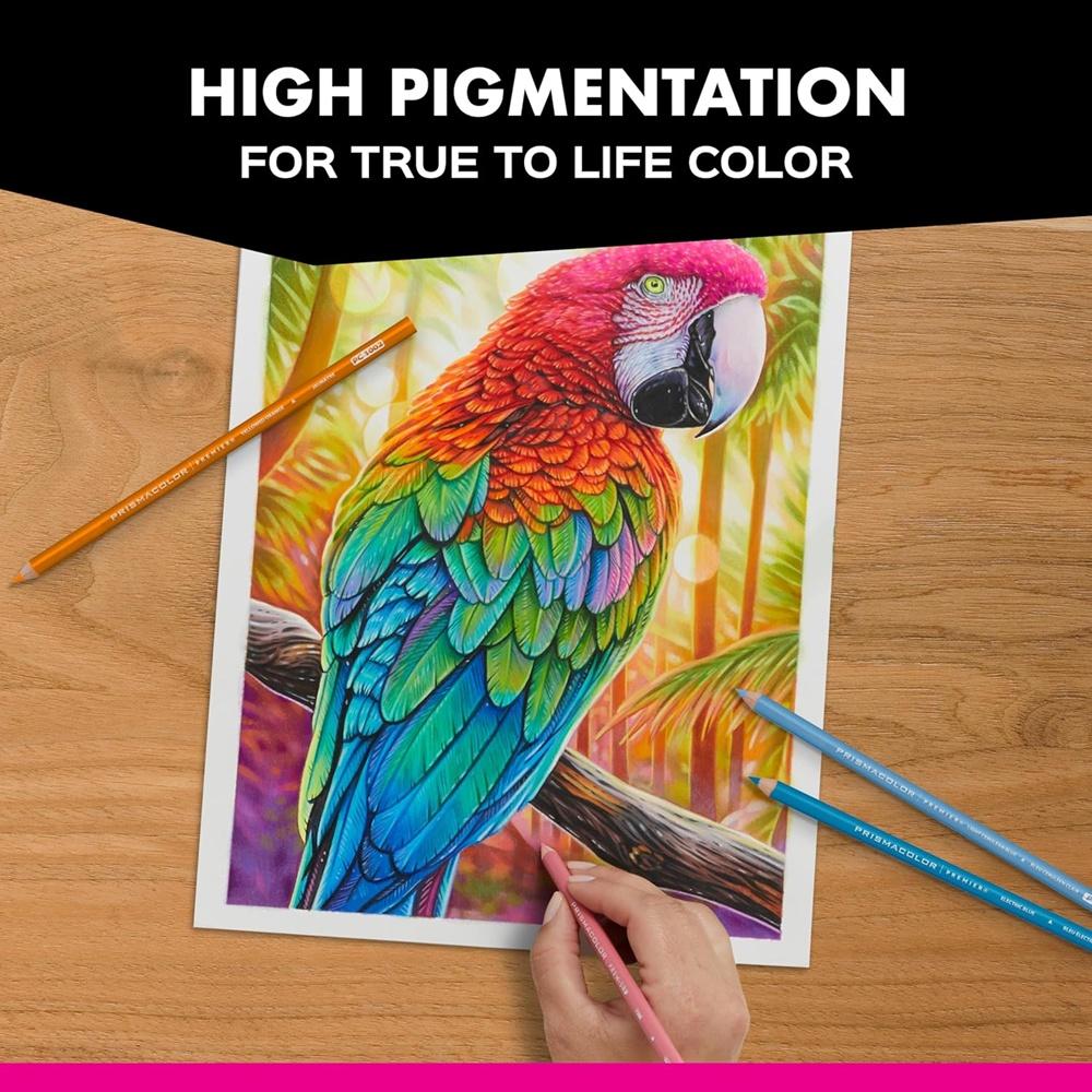 Prismacolor Technique Soft Core Color Pencil Set of 12 - Animal Drawing Set - Image 6