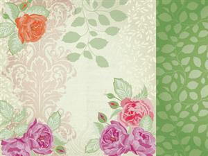 Kaisercraft Flora Delight 12x12 Scrapbook Paper Chique - Image 2