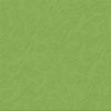 Bazzill Basics - 12 x 12 Embossed Cardstock - Peek-a-boo Leaves - Parakeet