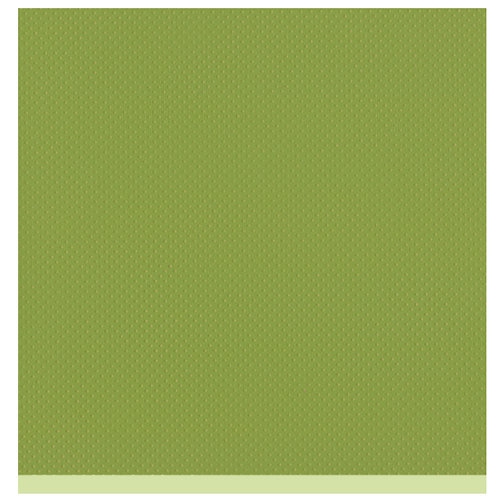 Bazzill Basics - Two Scoops Collection - 12 x 12 Sandable Cardstock - Prickly Pear